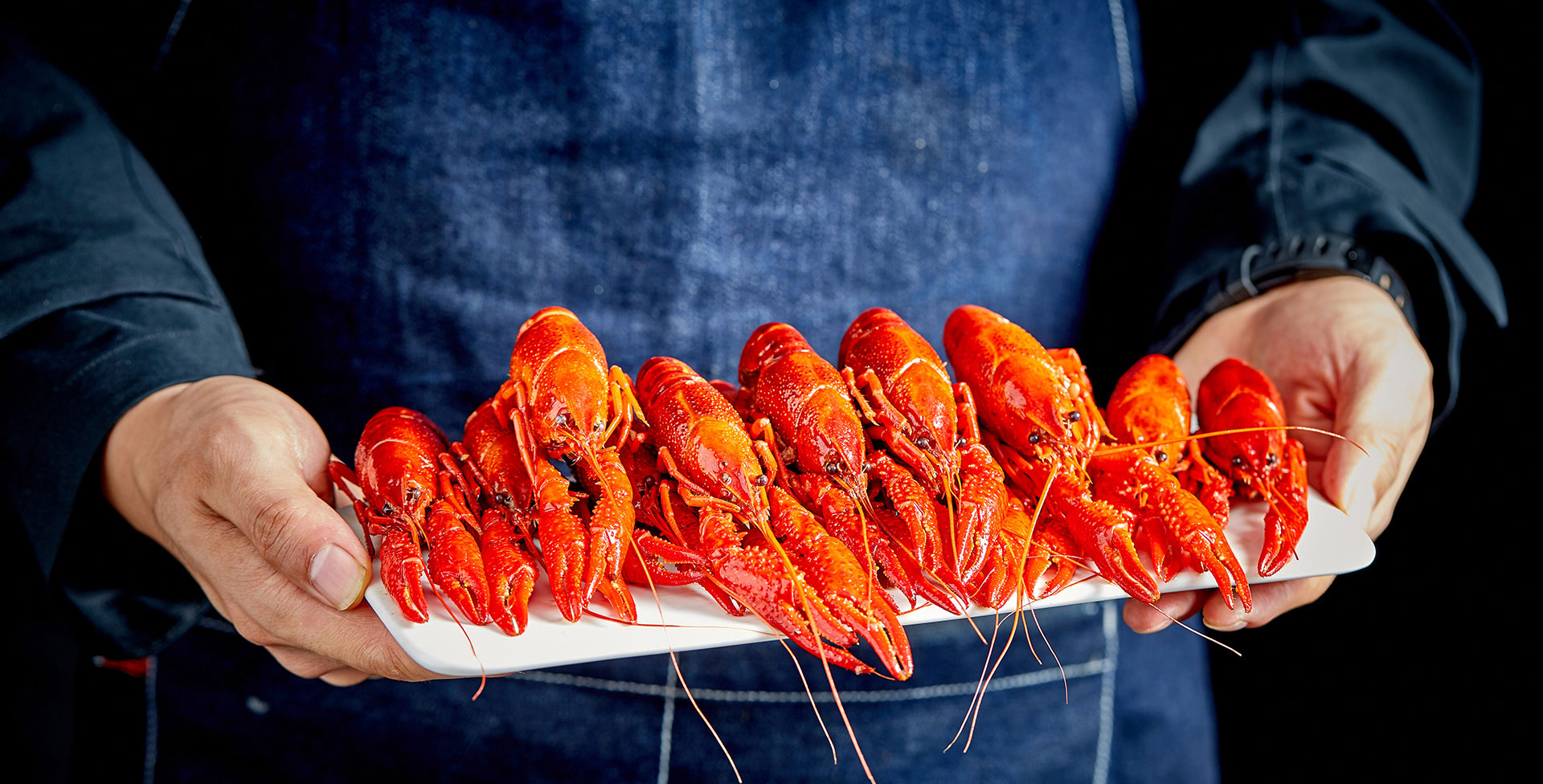 贝博bb平台下载